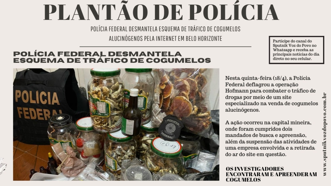 Polícia Federal desmantela esquema de tráfico de cogumelos alucinógenos